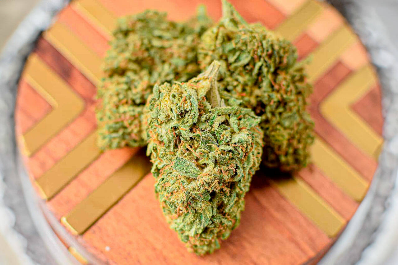 CBD Kush Auto: Confidence in Quality from Green Leaf Store EU's Hand-Selected Products